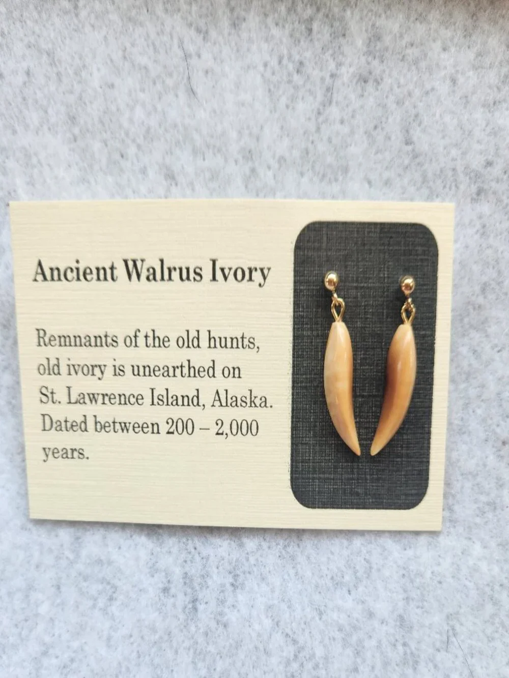 Ancient Walrus Ivory post earrings